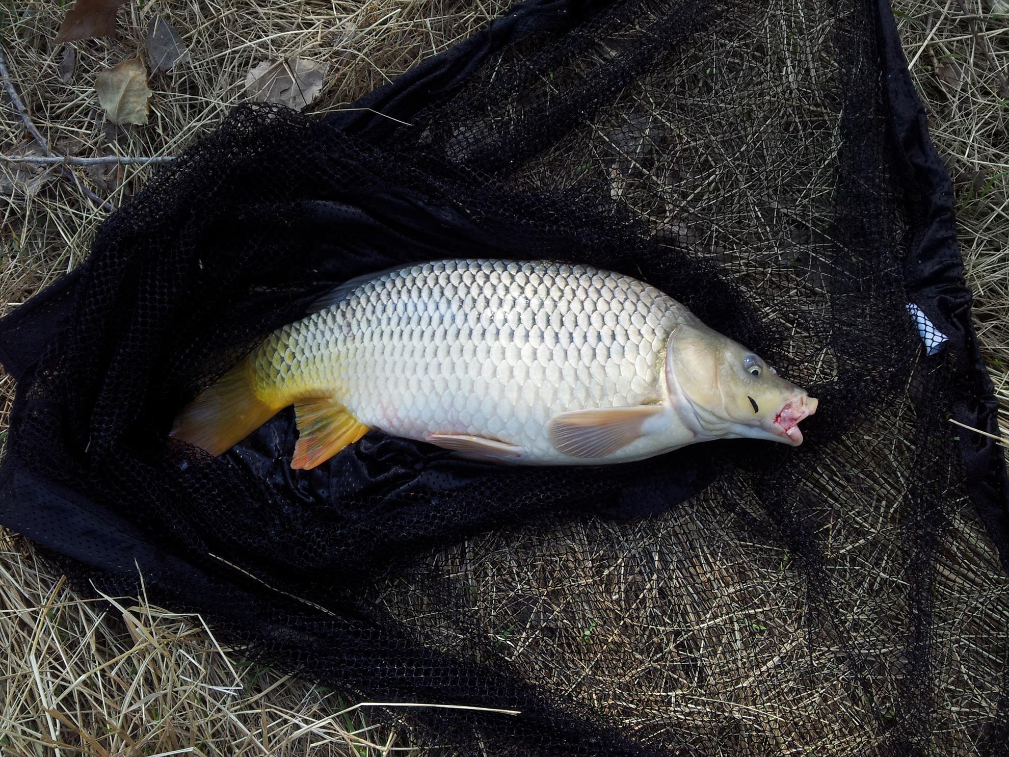 dunare 26-30.09.2013 - 20130927160109.jpg